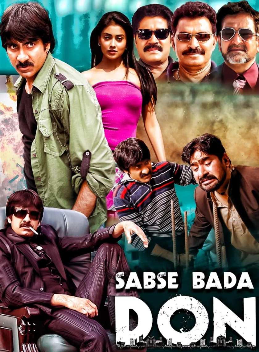 Don Seenu (Sabse Bada Don) (2010) {Hindi - Telugu} Dual Audio UnCut BluRay Movie HD ESub