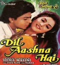 Dil Aashna Hai (1992) Bollywood Hindi Full Movie HD ESub