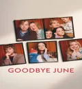 Goodbye June (2025) (Hindi + English) Dual Audio Hollywood Movie HD ESub
