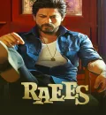 Raees (2017) Bollywood Hindi Movie BluRay HD ESub