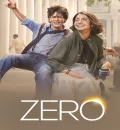 Zero (2018) Bollywood Hindi Movie BluRay HD ESub