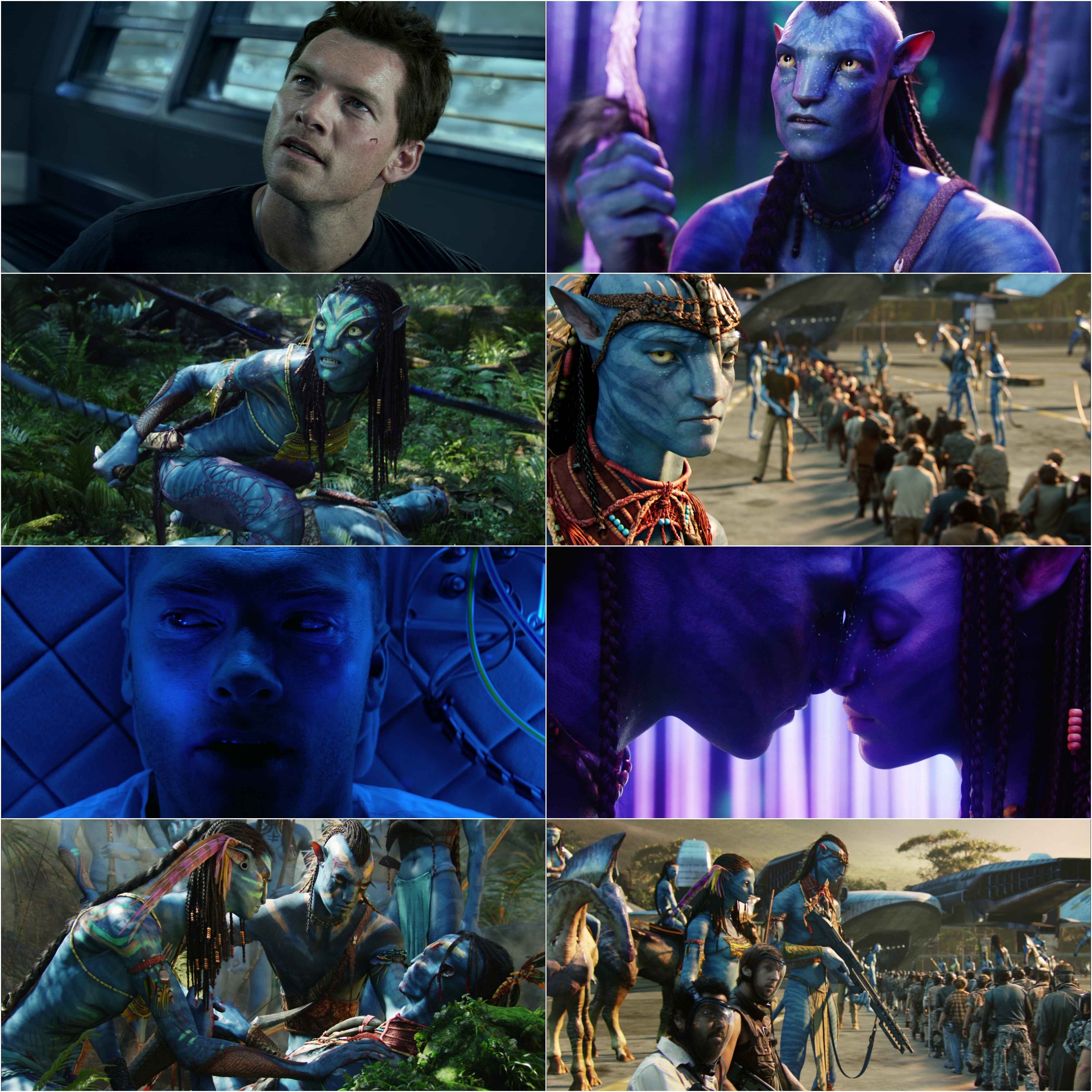 Avatar (2009) (Hindi + English) Dual Audio Hollywood Movie BluRay HD ESub screenshot