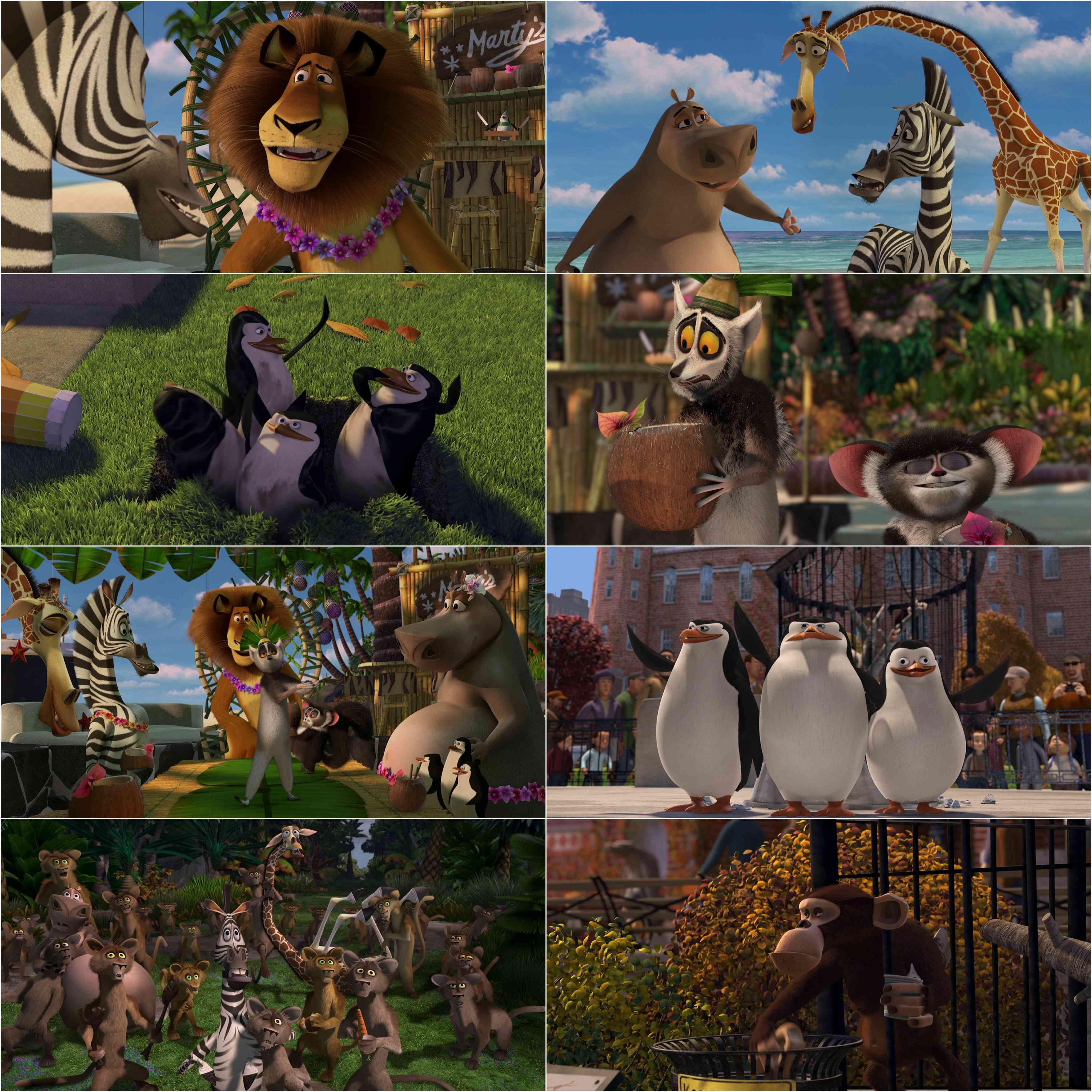 Madagascar (2005) (Hindi + English) Dual Audio Animated Movie BluRay HD ESub screenshot